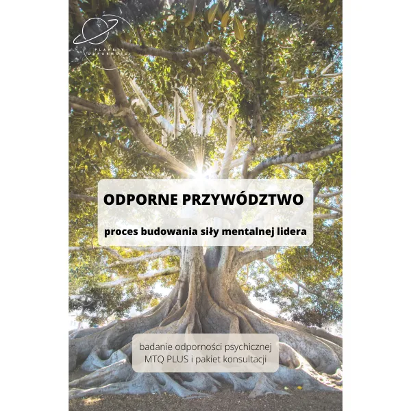 Proces Odporne przywództwo - badanie MTQPlus i konsultacje