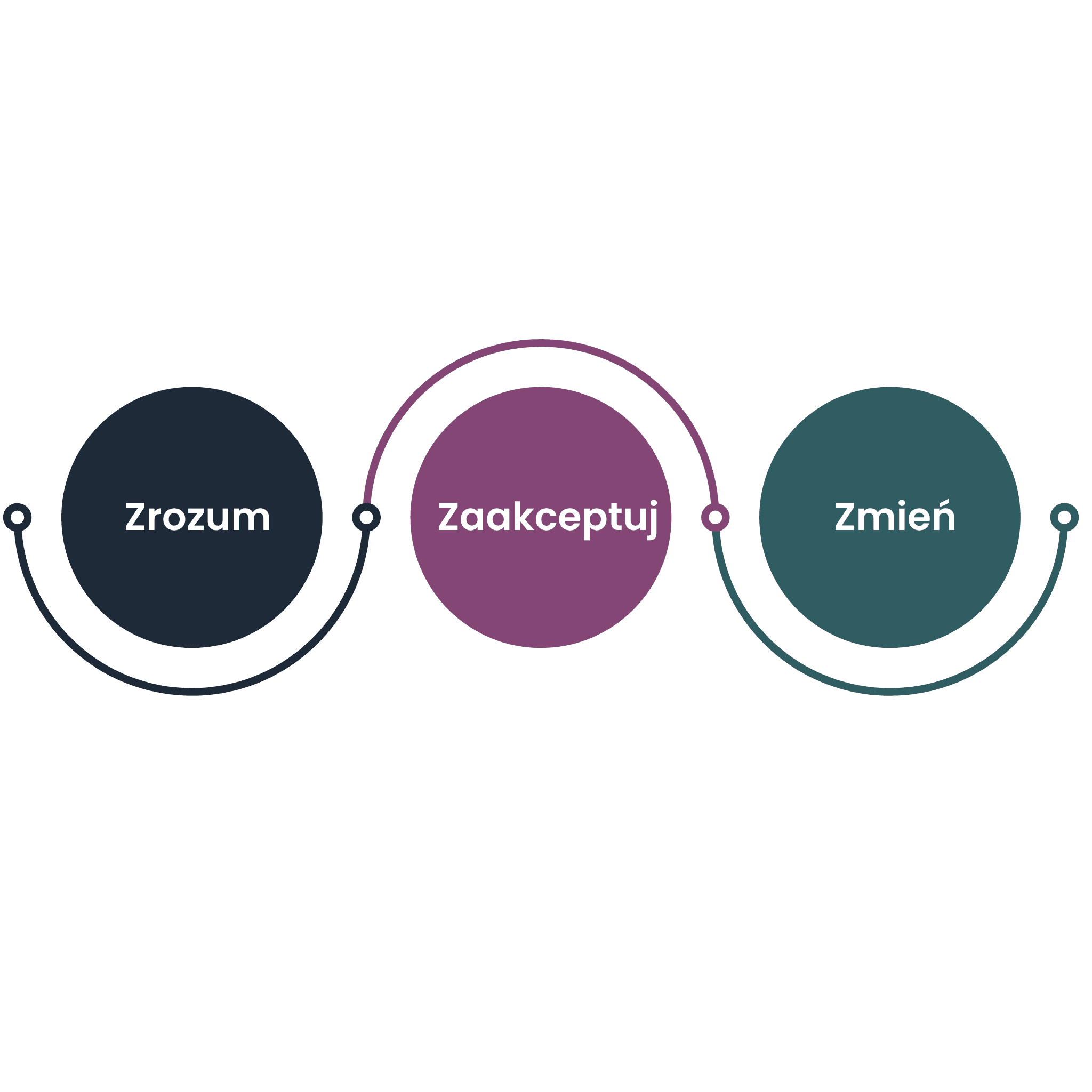 Diagram trzech składowych działania - zrozum, zaakceptuj, zmień